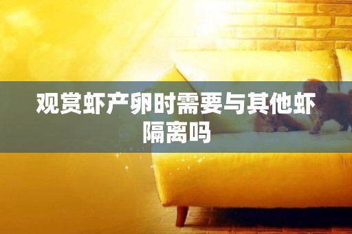 觀賞蝦產卵時需要與其他蝦隔離嗎