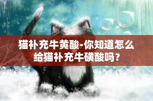 貓補充牛黃酸-你知道怎么給貓補充牛磺酸嗎？