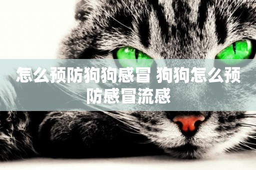 怎么預防狗狗感冒 狗狗怎么預防感冒流感