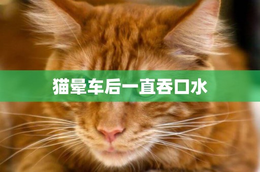 貓暈車后一直吞口水