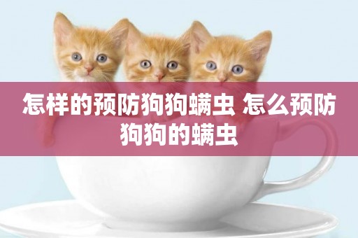 怎樣的預防狗狗螨蟲 怎么預防狗狗的螨蟲