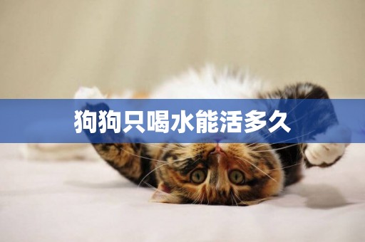 狗狗只喝水能活多久