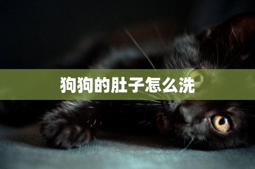 狗狗的肚子怎么洗