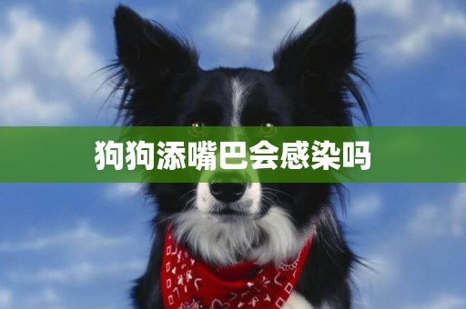 狗狗添嘴巴會感染嗎