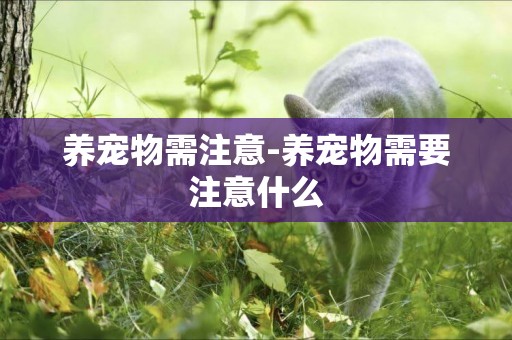 養寵物需注意-養寵物需要注意什么