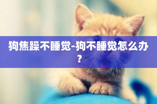 狗焦躁不睡覺-狗不睡覺怎么辦？