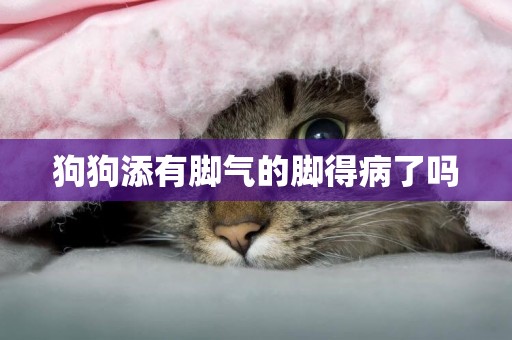 狗狗添有腳氣的腳得病了嗎