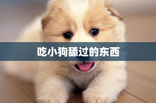 吃小狗舔過的東西