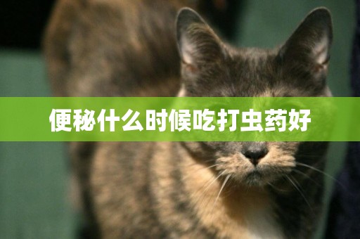 便秘什么時候吃打蟲藥好
