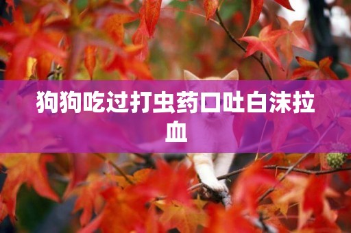 狗狗吃過打蟲藥口吐白沫拉血