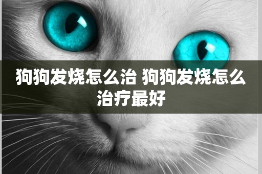 狗狗發燒怎么治 狗狗發燒怎么治療最好