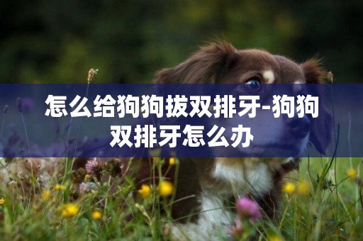 怎么給狗狗拔雙排牙-狗狗雙排牙怎么辦