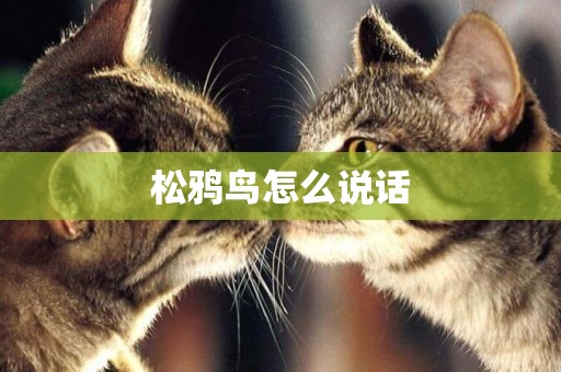 松鴉鳥怎么說話