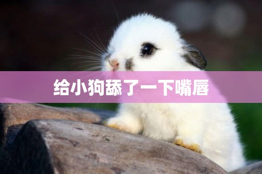 給小狗舔了一下嘴唇