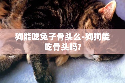 狗能吃兔子骨頭么-狗狗能吃骨頭嗎?
