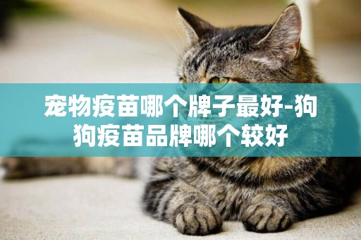寵物疫苗哪個牌子最好-狗狗疫苗品牌哪個較好
