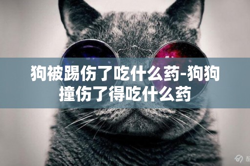 狗被踢傷了吃什么藥-狗狗撞傷了得吃什么藥