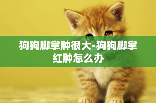 狗狗腳掌腫很大-狗狗腳掌紅腫怎么辦
