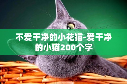 不愛干凈的小花貓-愛干凈的小貓200個字