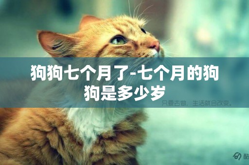 狗狗七個月了-七個月的狗狗是多少歲