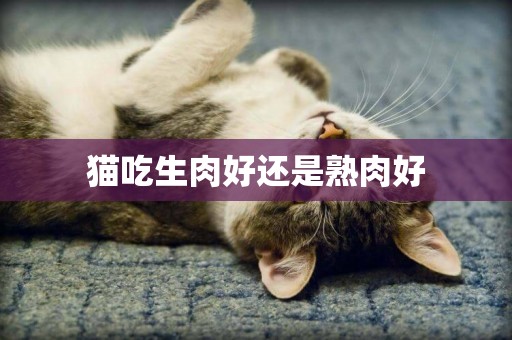 貓吃生肉好還是熟肉好