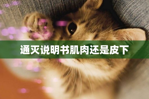 通滅說明書肌肉還是皮下