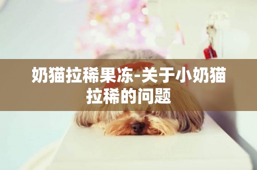 奶貓拉稀果凍-關于小奶貓拉稀的問題