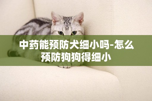 中藥能預防犬細小嗎-怎么預防狗狗得細小