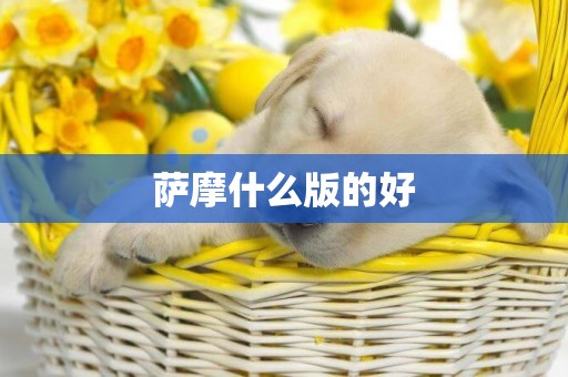薩摩什么版的好
