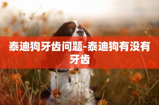 泰迪狗牙齒問題-泰迪狗有沒有牙齒