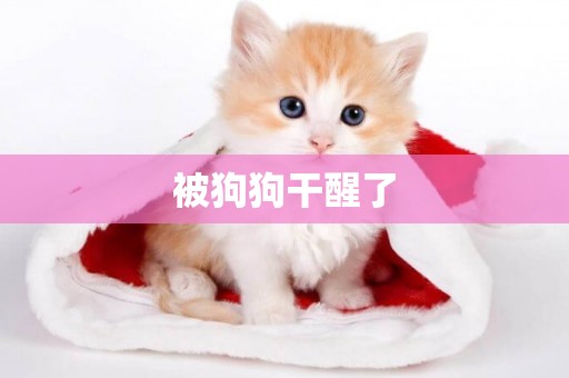 被狗狗干醒了