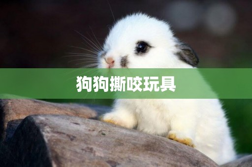 狗狗撕咬玩具