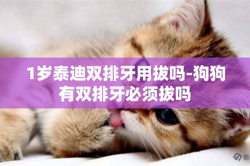 1歲泰迪雙排牙用拔嗎-狗狗有雙排牙必須拔嗎