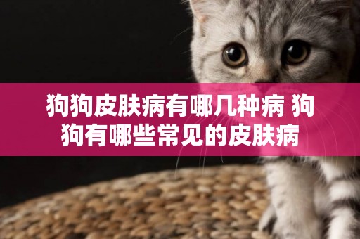 狗狗皮膚病有哪幾種病 狗狗有哪些常見的皮膚病