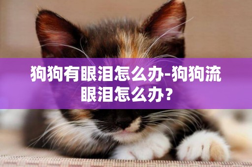 狗狗有眼淚怎么辦-狗狗流眼淚怎么辦？