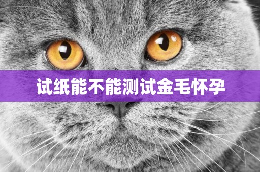 試紙能不能測試金毛懷孕