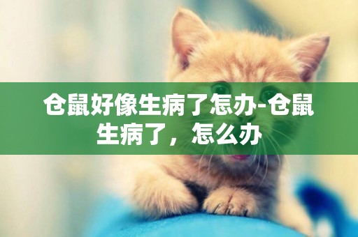 倉鼠好像生病了怎辦-倉鼠生病了，怎么辦