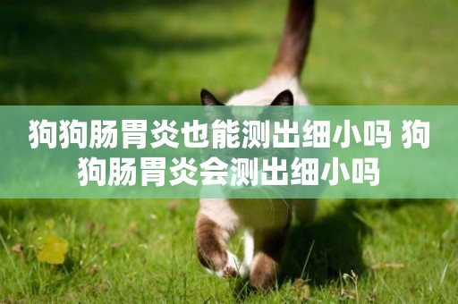 狗狗腸胃炎也能測出細小嗎 狗狗腸胃炎會測出細小嗎