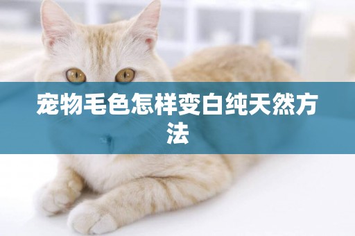 寵物毛色怎樣變白純天然方法