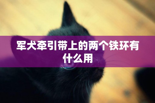 軍犬牽引帶上的兩個鐵環有什么用