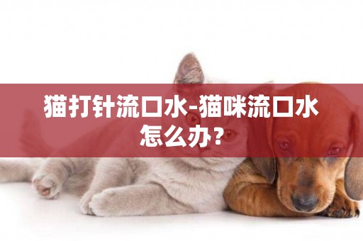 貓打針流口水-貓咪流口水怎么辦？