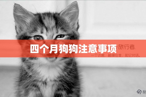 四個月狗狗注意事項