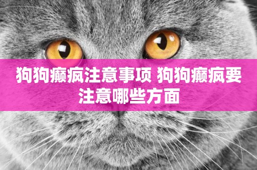 狗狗癲瘋注意事項 狗狗癲瘋要注意哪些方面
