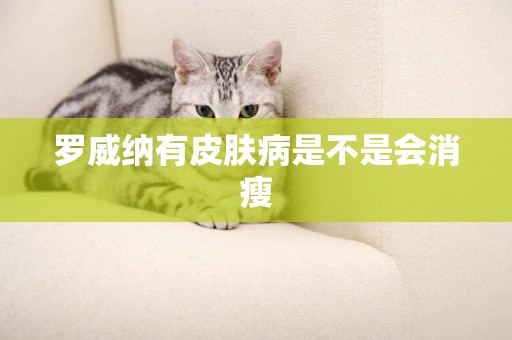 羅威納有皮膚病是不是會消瘦