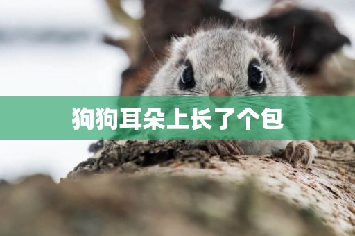 狗狗耳朵上長了個包
