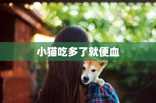 小貓吃多了就便血