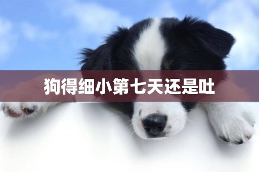 狗得細小第七天還是吐