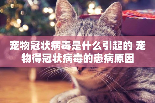 寵物冠狀病毒是什么引起的 寵物得冠狀病毒的患病原因