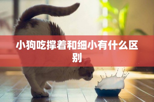 小狗吃撐著和細小有什么區別
