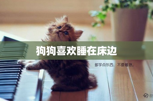 狗狗喜歡睡在床邊